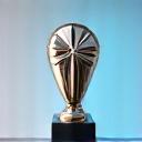 Service Excellence Award trophy